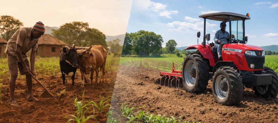 Massey Ferguson vs other farm tractor brands